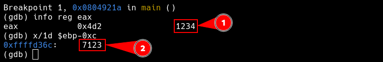 level 6 gdb breakpoint pin